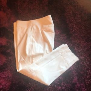 The Limited Dress Pants